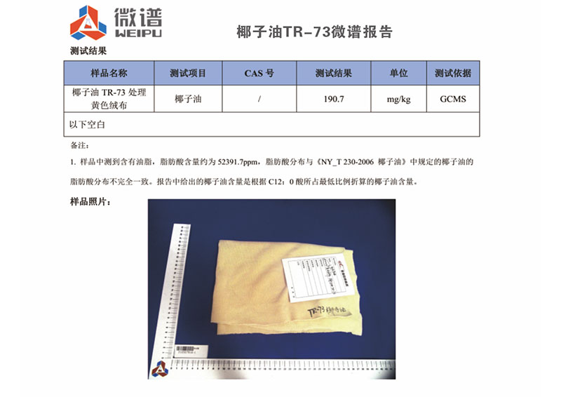 檢測報告